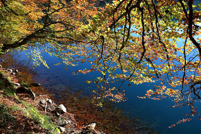 Automne au lac Pavin