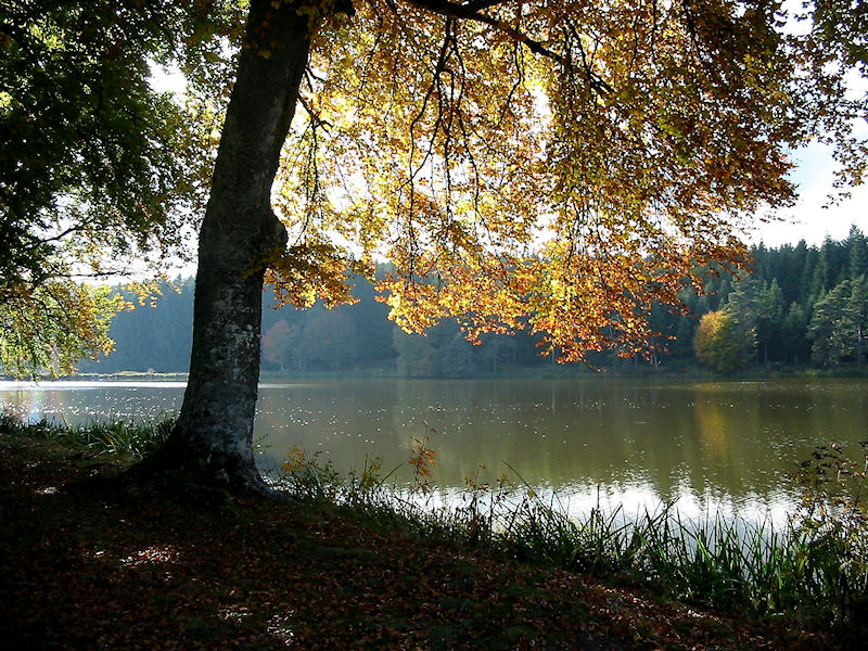 Etang de Marchaud