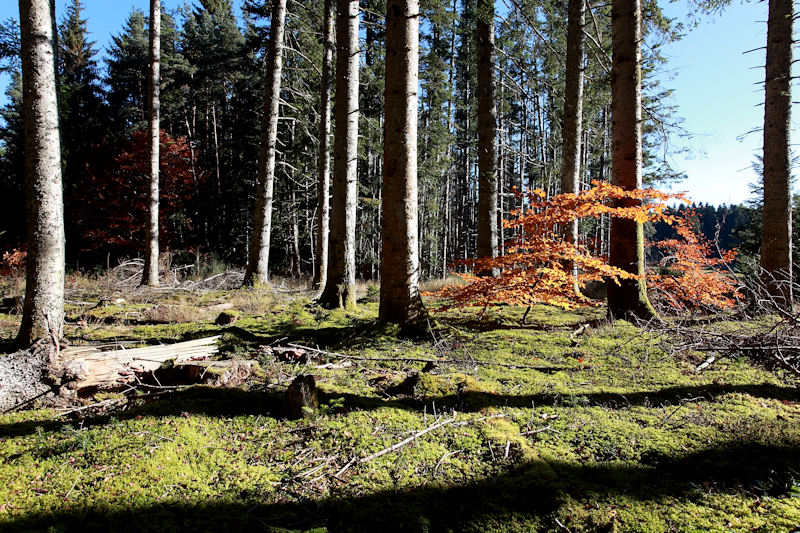 Automne à Doranges