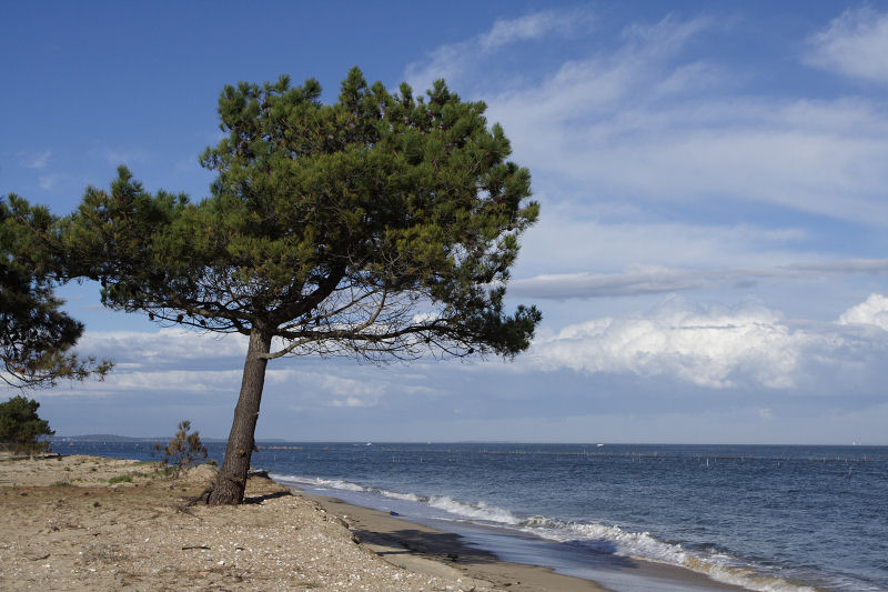 Le Cap-Ferret