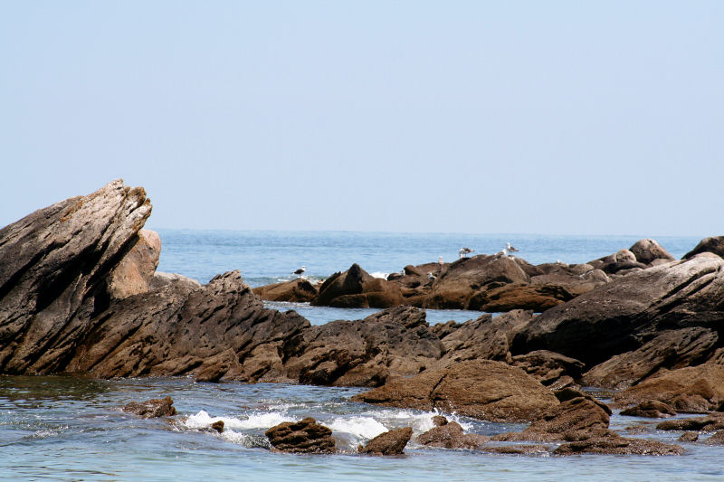 Pointe des Corbeaux - Ile d'Yeu