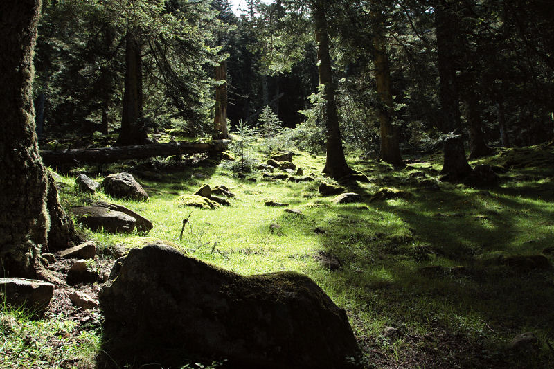 Vallée de Lutour