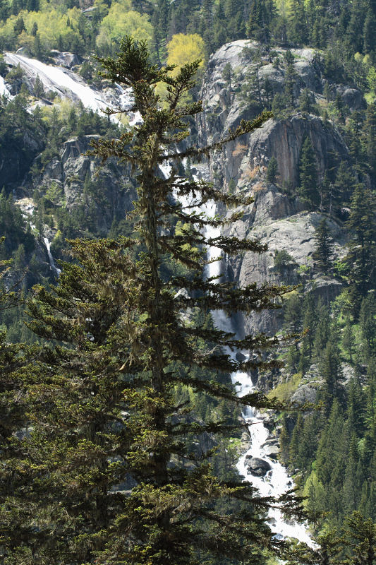 Cascade du Cayan